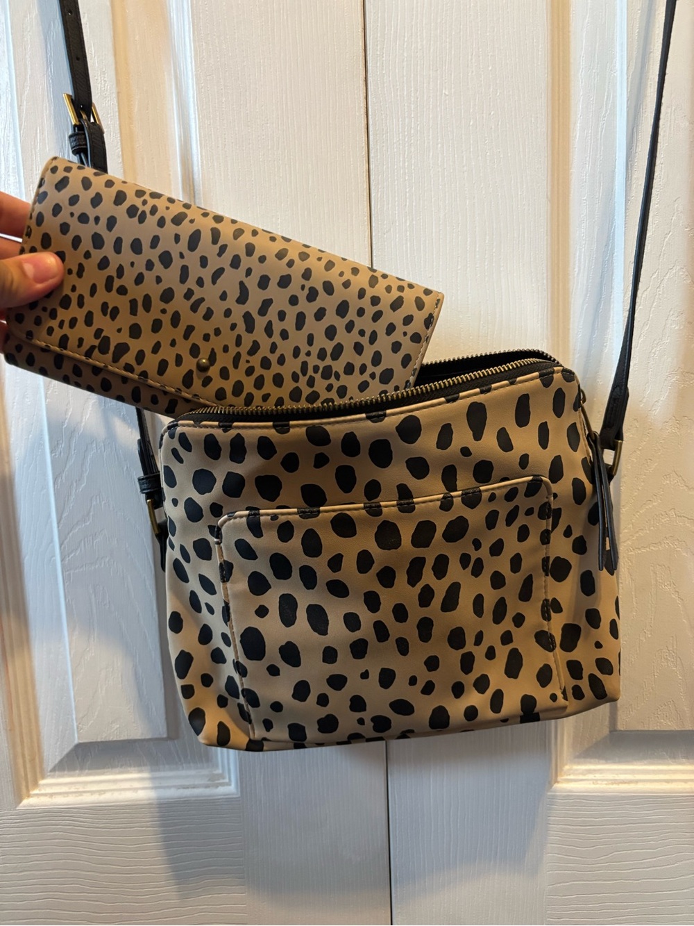 Purse and wallet